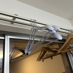 【最終処分‼️】ピンチハンガー、ハンガー譲ります
の画像