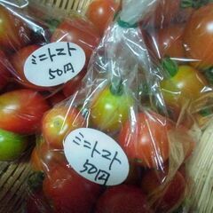 新鮮野菜コーナー7月22日の品出し予定です。の画像