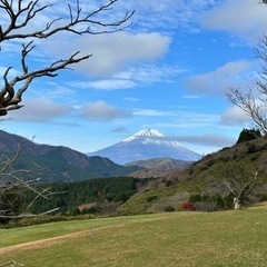 ゴルフ⛳️