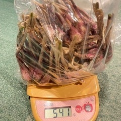 島らっきょう紫100g