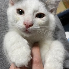 決まりました🎶 - 大分市
