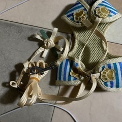 犬、胴輪、リード　ハーネス 小型犬用4つセットの画像