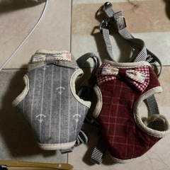 犬、胴輪、リード　ハーネス 小型犬用4つセットの画像