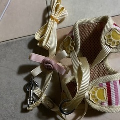 犬、胴輪、リード　ハーネス 小型犬用4つセットの画像