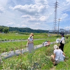 ボランティアの仲間募集中