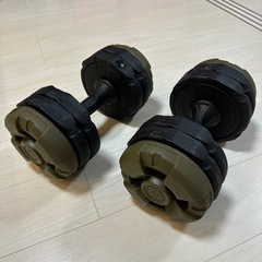ダンベル　リーディングエッジ　10kg×2