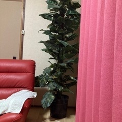 造花観葉植物の画像