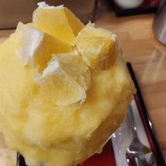 大阪発🚃かき氷を食べに行きたい