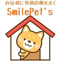 チワワのお店