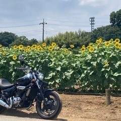 250cc限定！千葉ツーリング - 友達