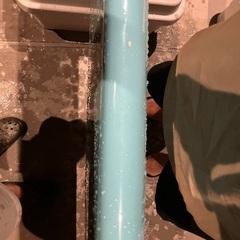 ロバートオーガスト　ロング　コーキーキャロルの画像