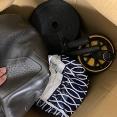 ダンベル、バランスボール、腹筋ローラーの画像