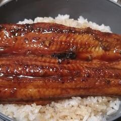 残り1匹 鰻の蒲焼（特大）500g弱