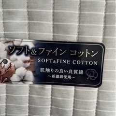 ★8/13～16お取引限定★新品タグ付き　メンズ　Tシャツ　ソフト&ファインコットン　Mの画像