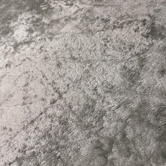 絨毯、クッションの画像