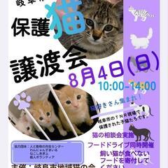 岐阜市地域猫の会  保護猫譲渡会