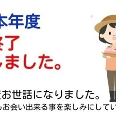 清水白桃【家庭用】