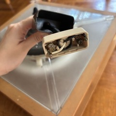 【無料でお譲りします】電気傘　レトロ　昭和　和室　電球つき　の画像