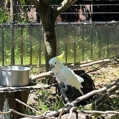友達募集中！(男女問わず)