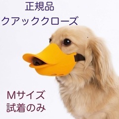 quack closed イエロー  Mサイズ　アヒル口輪の画像