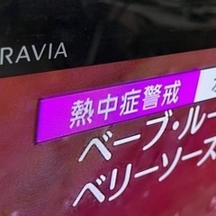 SONY BRAVIA 40インチの画像