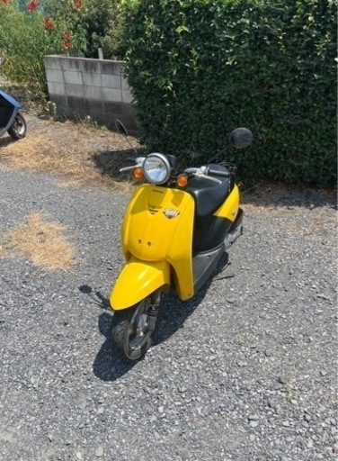 847.　動画あり　ホンダ　トゥデイ AF61 原付　バイク　50cc   車体　埼玉