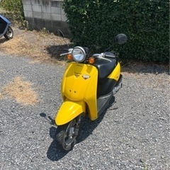 847.　動画あり　ホンダ　トゥデイ AF61 原付　バイク　50cc   車体　埼玉の画像