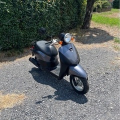 854.　動画あり　ホンダ　AF67トゥデイ　原付　バイク　50...