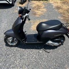 854.　動画あり　ホンダ　AF67トゥデイ　原付　バイク　50cc   車体　埼玉の画像
