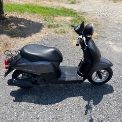 854.　動画あり　ホンダ　AF67トゥデイ　原付　バイク　50cc   車体　埼玉の画像