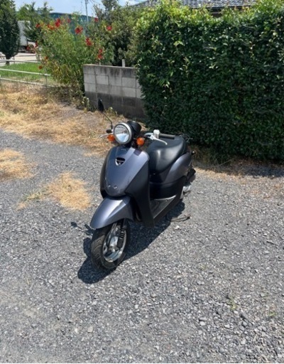 854.　動画あり　ホンダ　AF67トゥデイ　原付　バイク　50cc   車体　埼玉