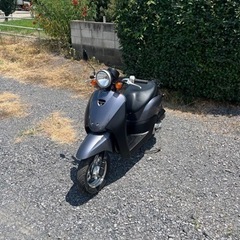 854.　動画あり　ホンダ　AF67トゥデイ　原付　バイク　50cc   車体　埼玉の画像