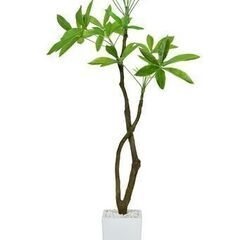 【受付終了】H人工観葉植物【パキラL／グリーン色】②フェイクグリ...