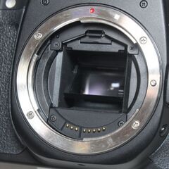 【ジャンク品】Canon/EOS 40D/ボディのみ/デジタル一眼 ⑥の画像