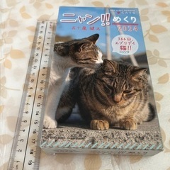 新品　2024 ニャンめくり　カレンダー