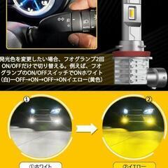 H8フォグランプの画像
