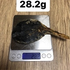 熊の胆