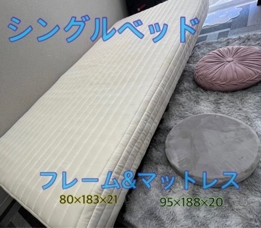 決まりました！