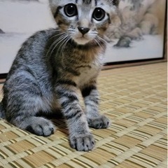 生後3ヶ月　男の子