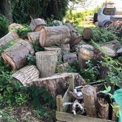 薪.焚き付けの画像