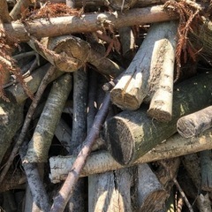 薪.焚き付け