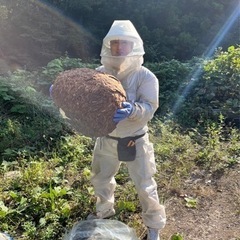 蜂駆除　蜂の巣駆除　高所可