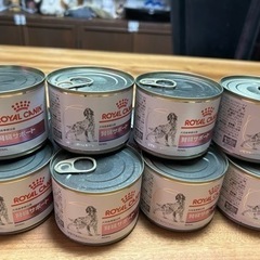 ロイヤルカナン犬用　腎臓サポート