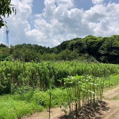 🌈売り土地　小郡市福童🌈K【値下げ！】