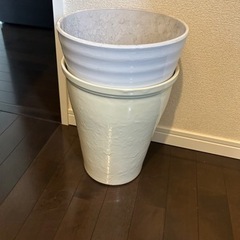 植木鉢✖︎2