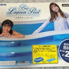 《取引中》大型ラグーンプールの画像