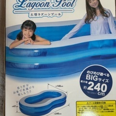 《取引中》大型ラグーンプールの画像