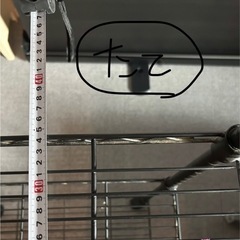 ラック