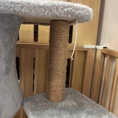 引取中　
美品　　キャットタワー の画像