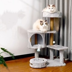 引取中　
美品　　キャットタワー の画像
